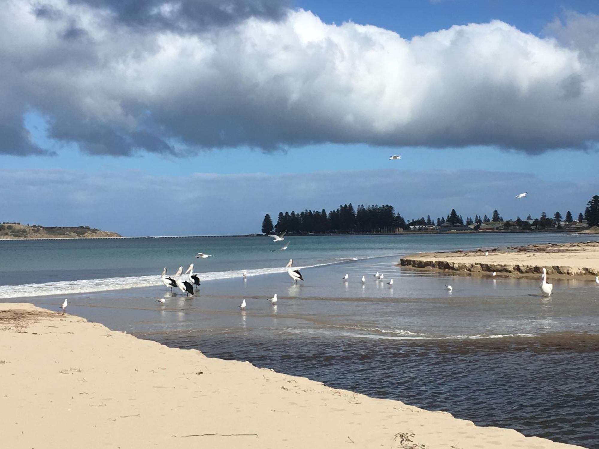 Отель Yelki By The Sea Encounter Bay Экстерьер фото