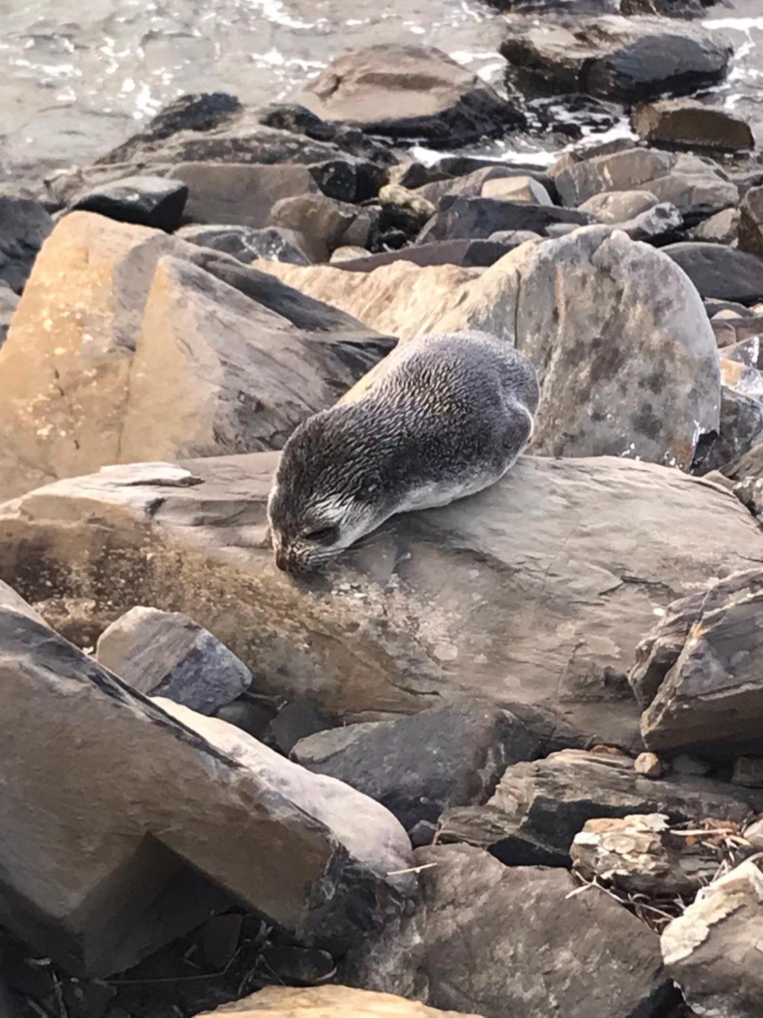 Отель Yelki By The Sea Encounter Bay Экстерьер фото